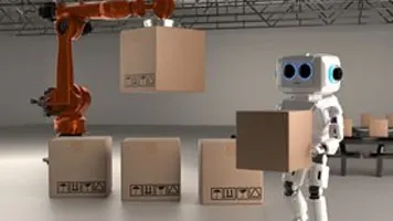 Insight 1