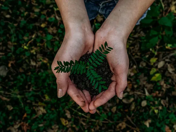 Environment and Sustainability